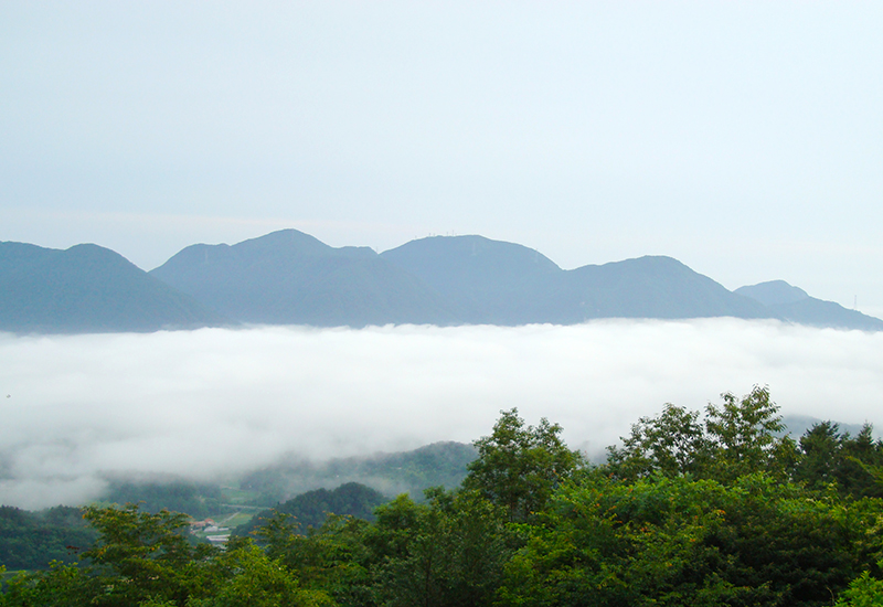 ■窓から見える四季折々の里山風景